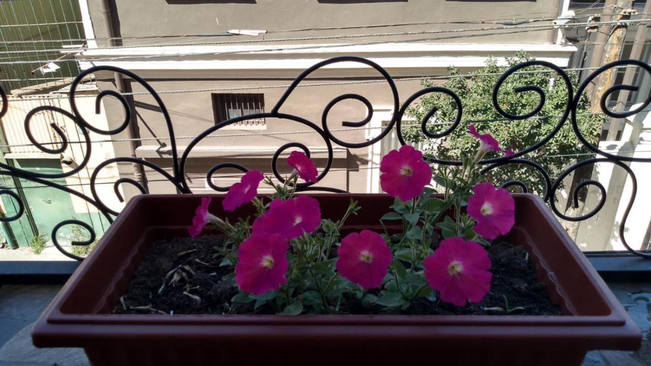 Casa Fibonacci Hotel Valparaíso Buitenkant foto